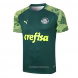 Camiseta de Entrenamiento Palmeiras 2020-2021 Verde
