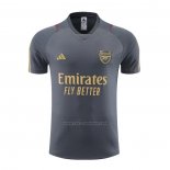 Camiseta de Entrenamiento Arsenal 2023-2024 Gris