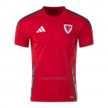 Camiseta Gales Primera 2024