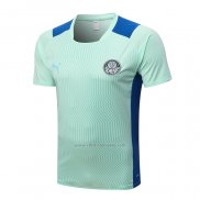 Camiseta de Entrenamiento Palmeiras 2022-2023 Verde